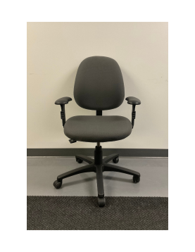 Ergocentric - Ergonomic Task Chair