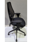 Ergocentric - Ergonomic  Task Chair