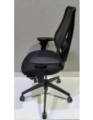 Ergocentric - Ergonomic  Task Chair
